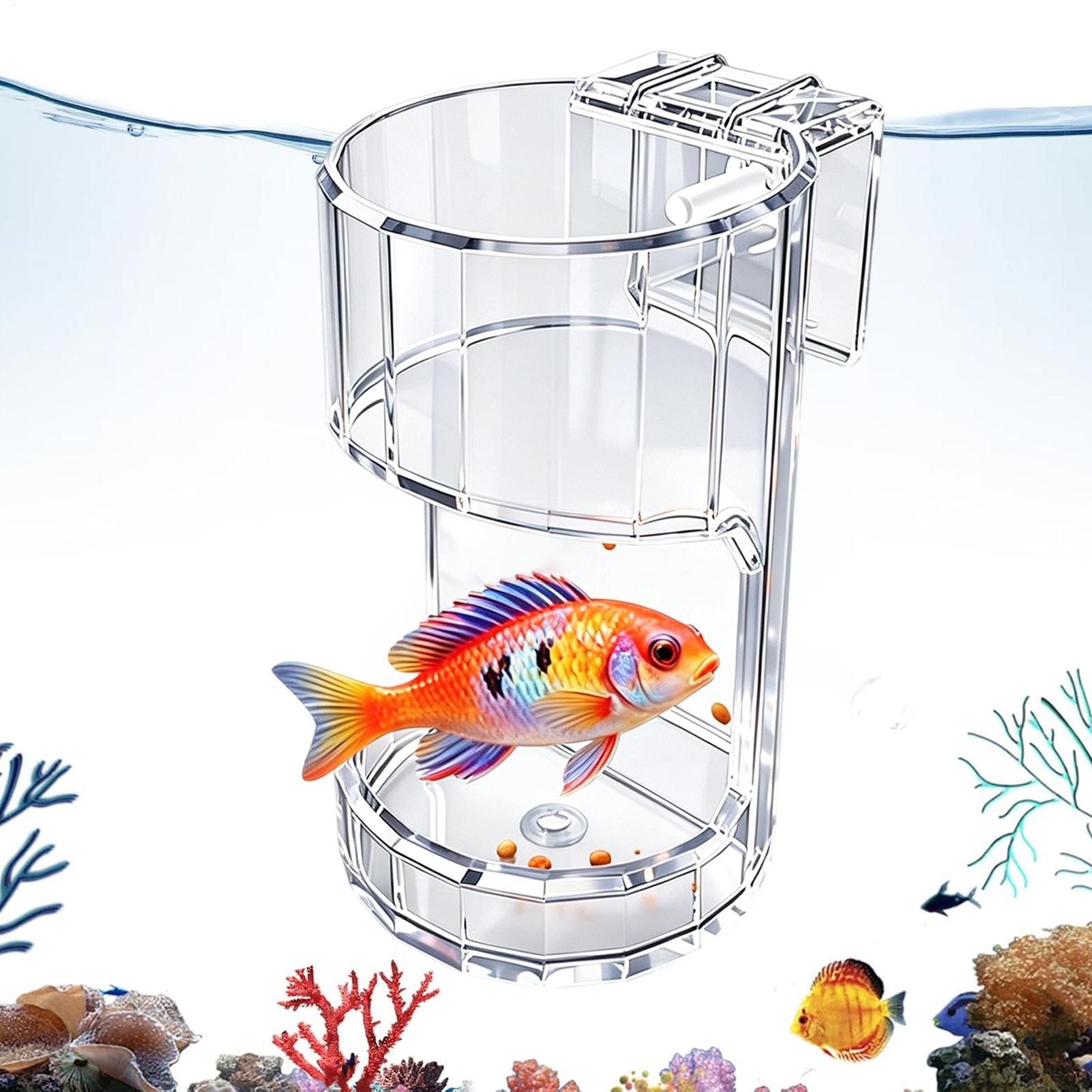 Transparente Futterbox für Aqu – Food Storage Room Bewertung und Preis