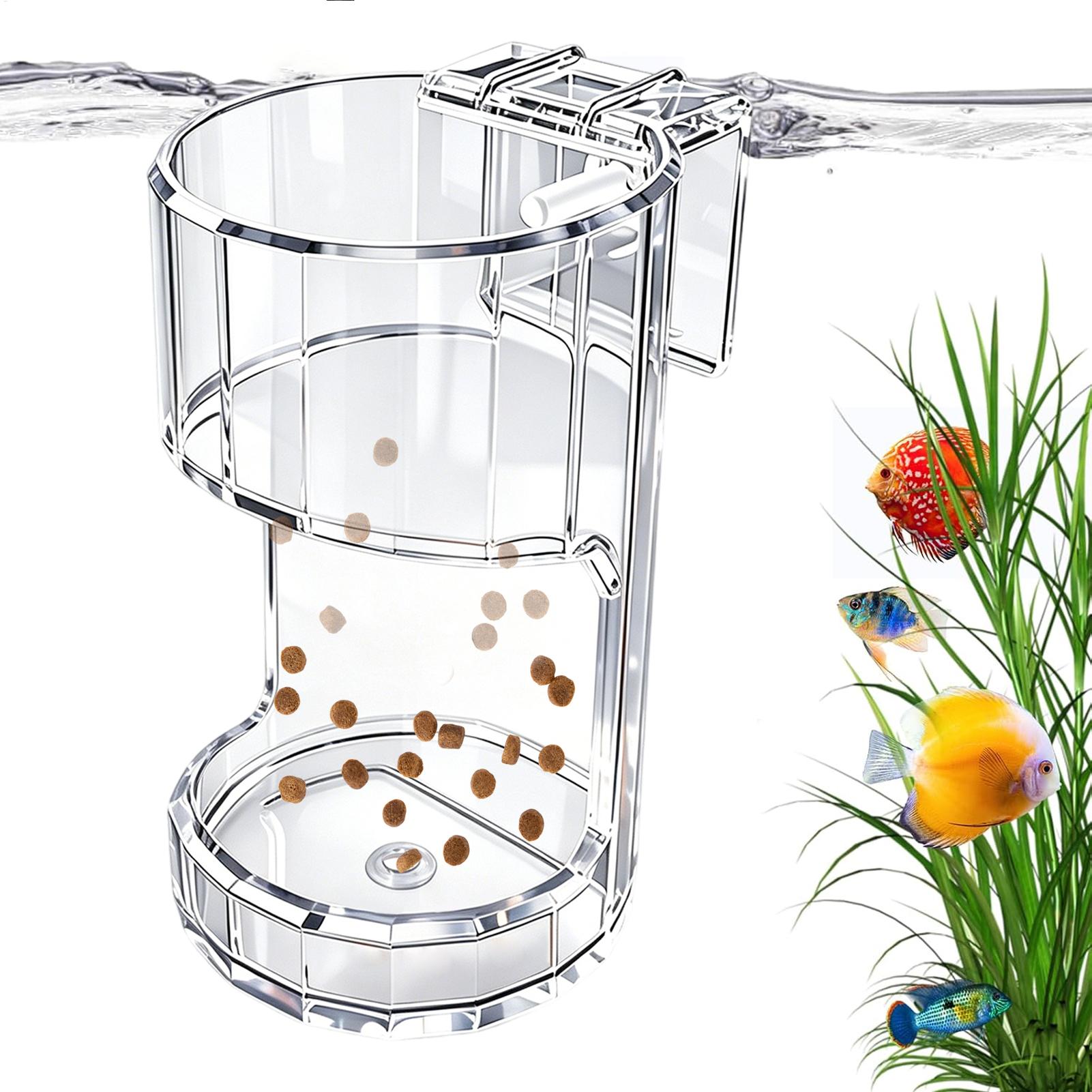 Transparente Futterbox für Aqu – Food Storage Room Bewertung und Preis