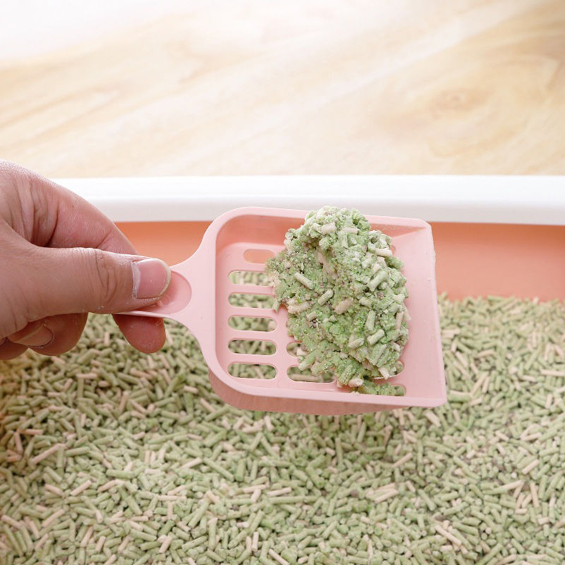 Neues Design Hochwertiger Katz – Food Storage With Scoop Bewertung und Preis
